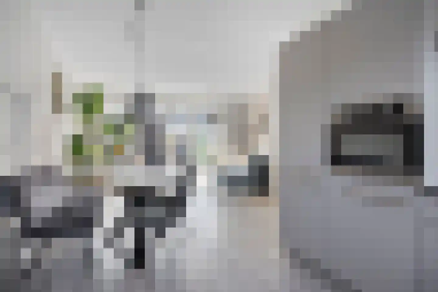Buitenhof 14 Ruinerwold thumbnail 12