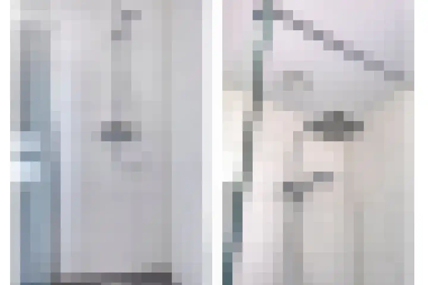 Buitenhof 14 Ruinerwold thumbnail 22