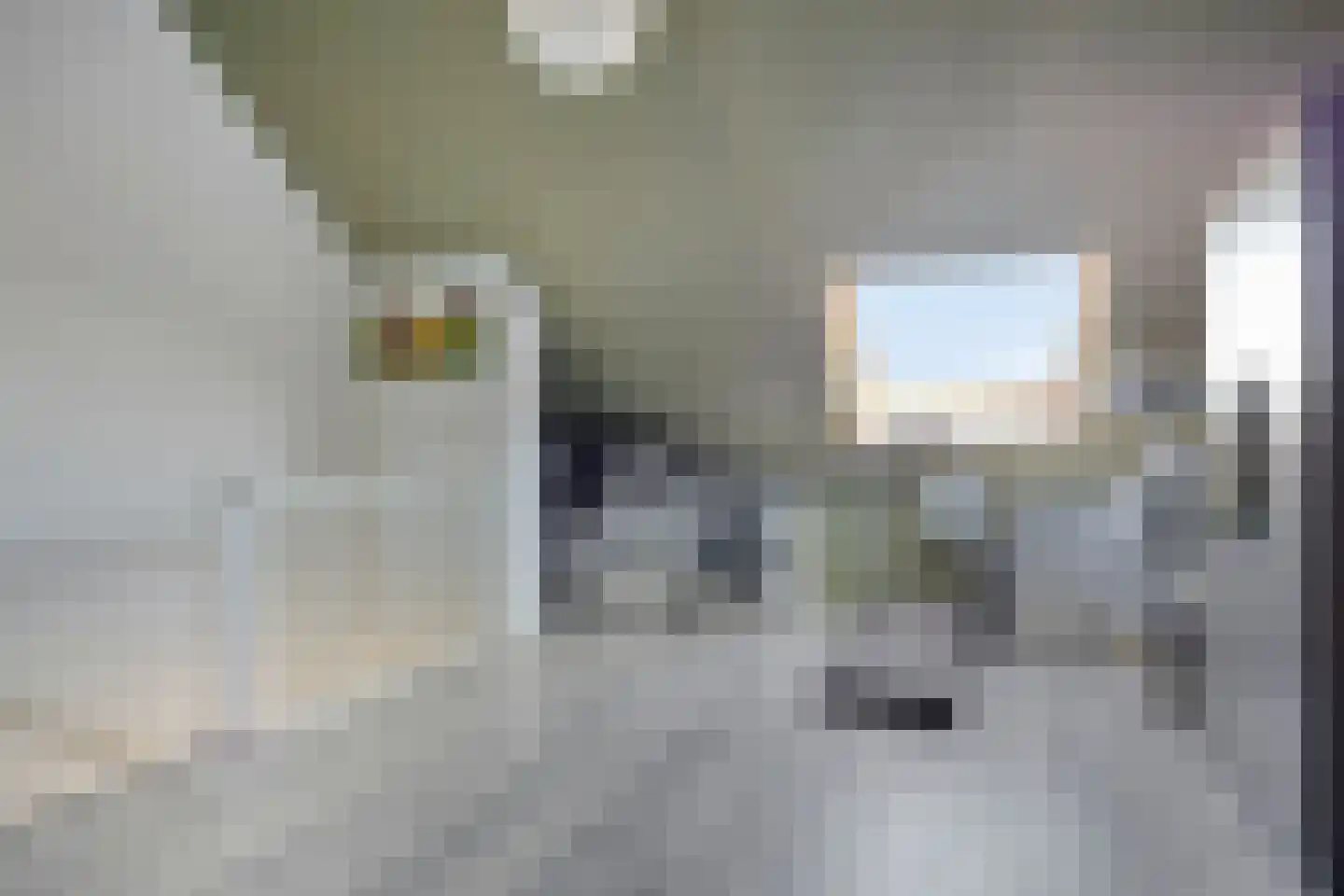 Buitenhof 14 Ruinerwold thumbnail 23