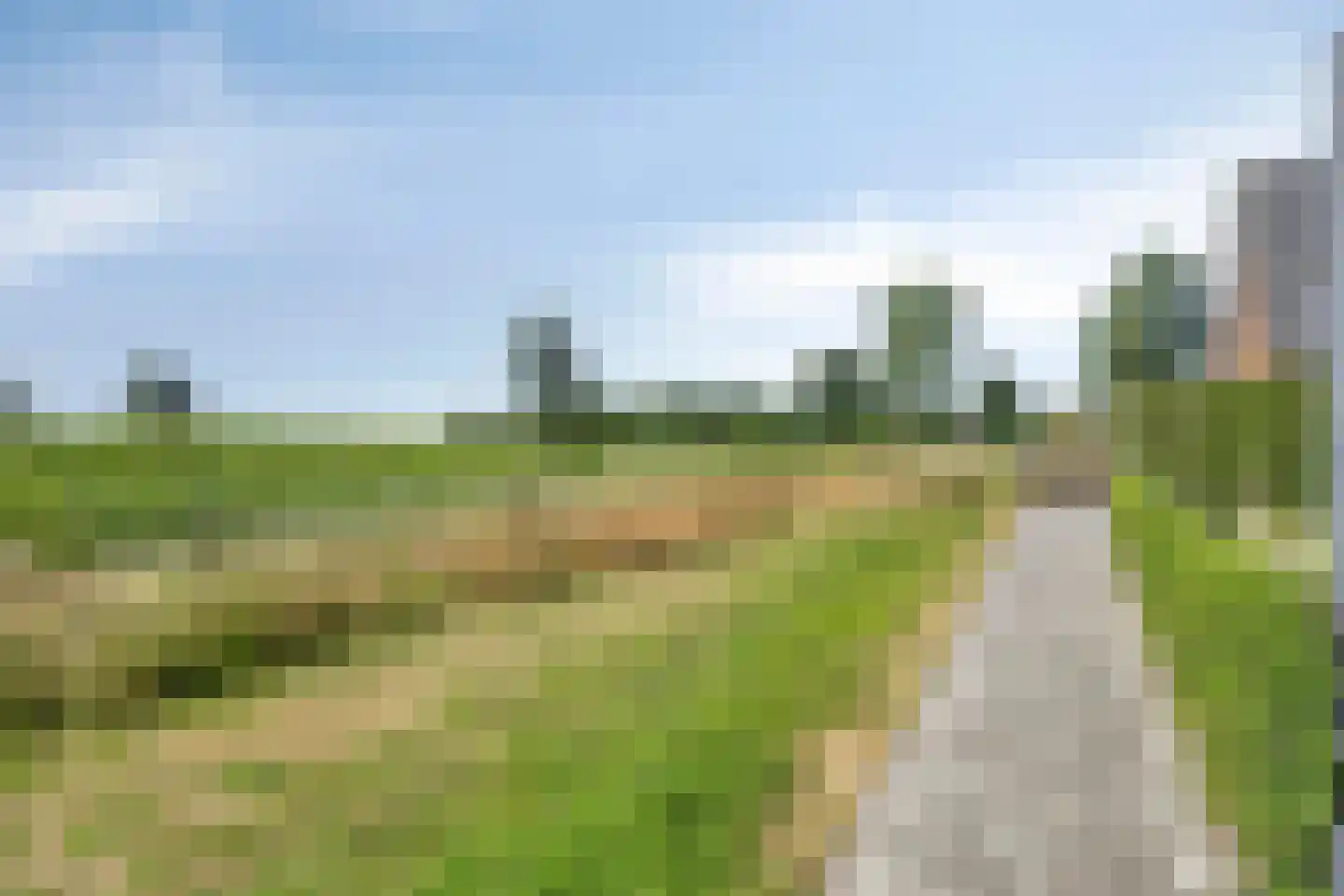Buitenhof 14 Ruinerwold thumbnail 33