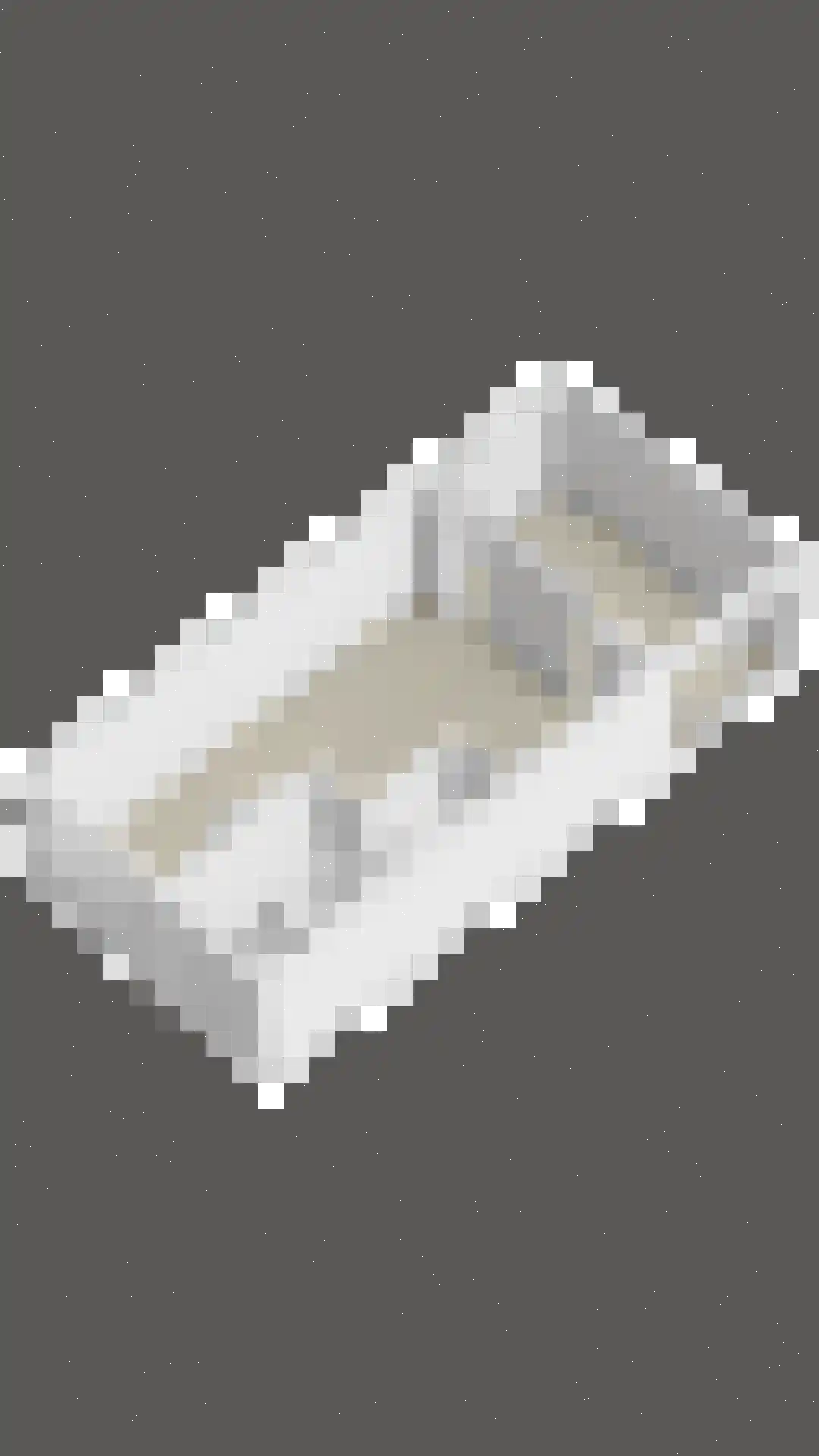 Buitenhof 14 Ruinerwold thumbnail 35