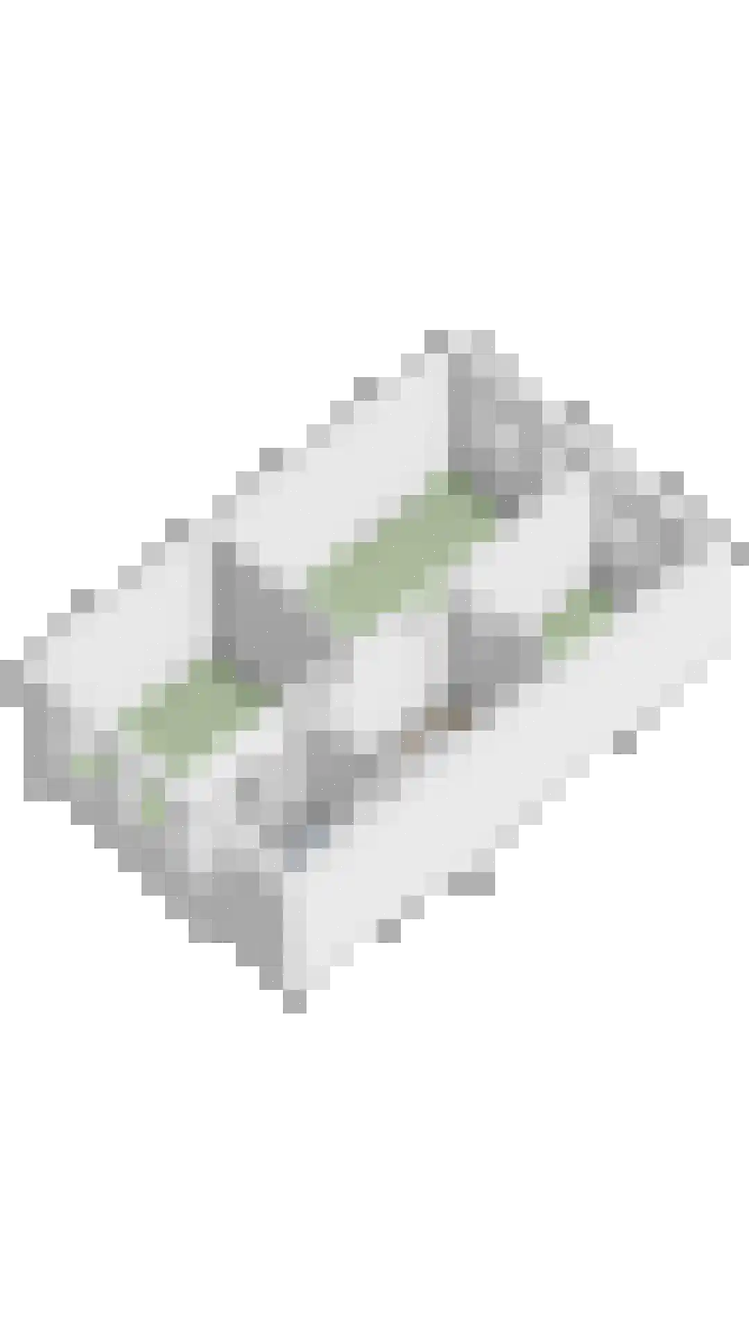 Buitenhof 14 Ruinerwold thumbnail 37