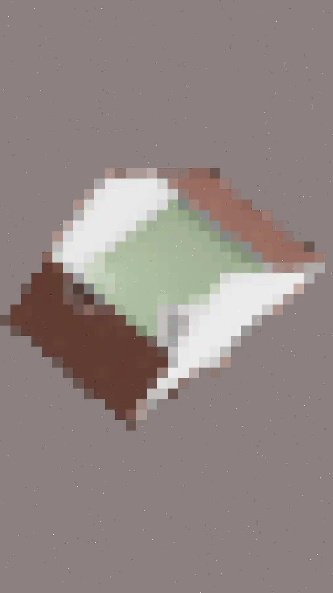 Buitenhof 14 Ruinerwold thumbnail 39