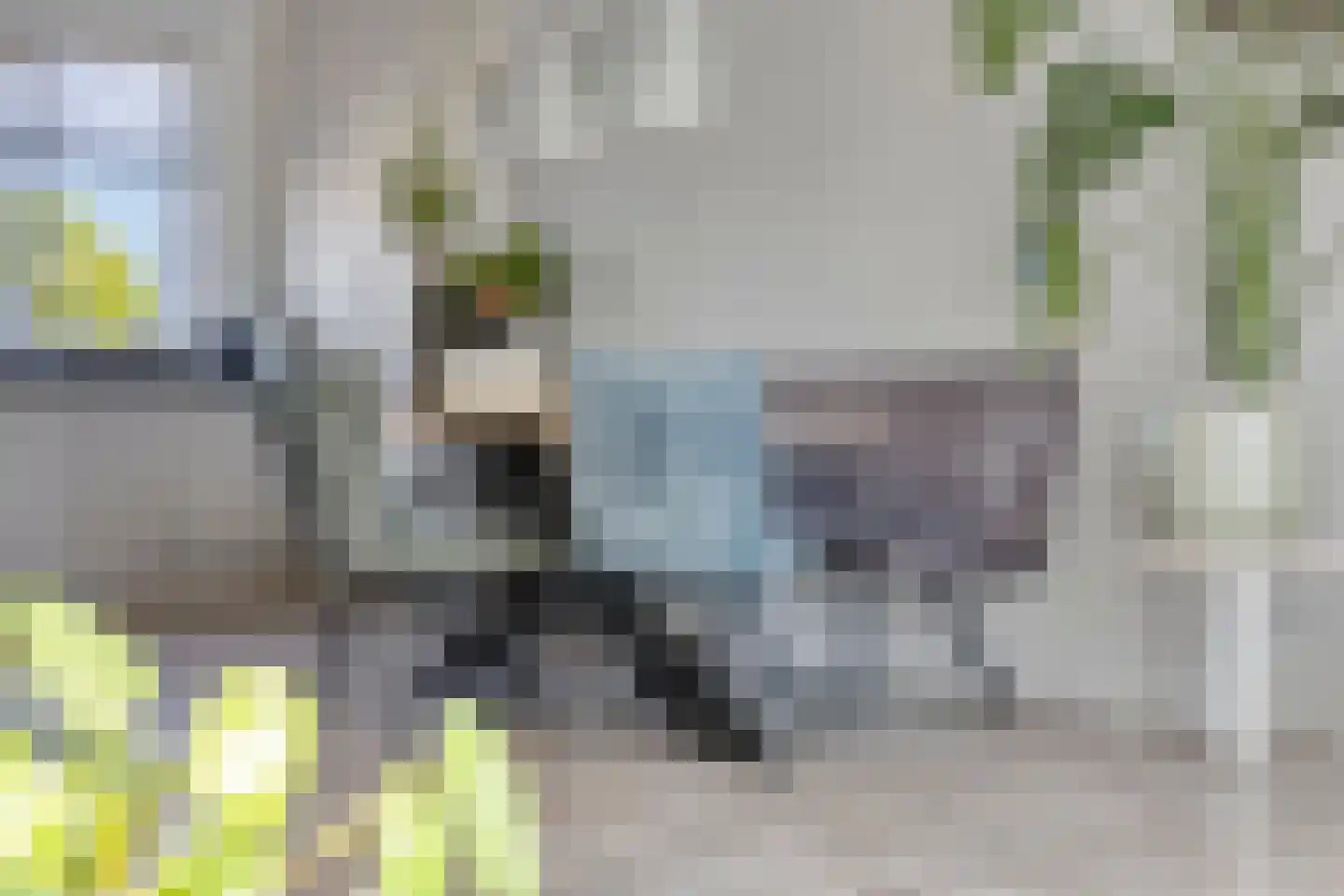 Buitenhof 14 Ruinerwold thumbnail 8