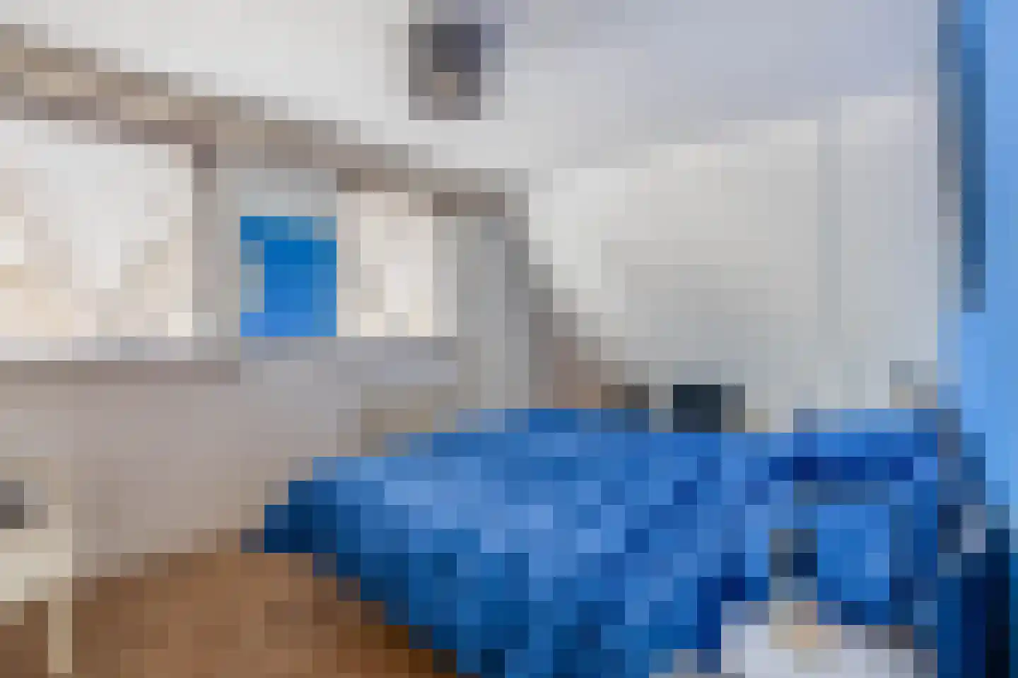 Buitenhof 18 Capelle aan den IJssel thumbnail 20