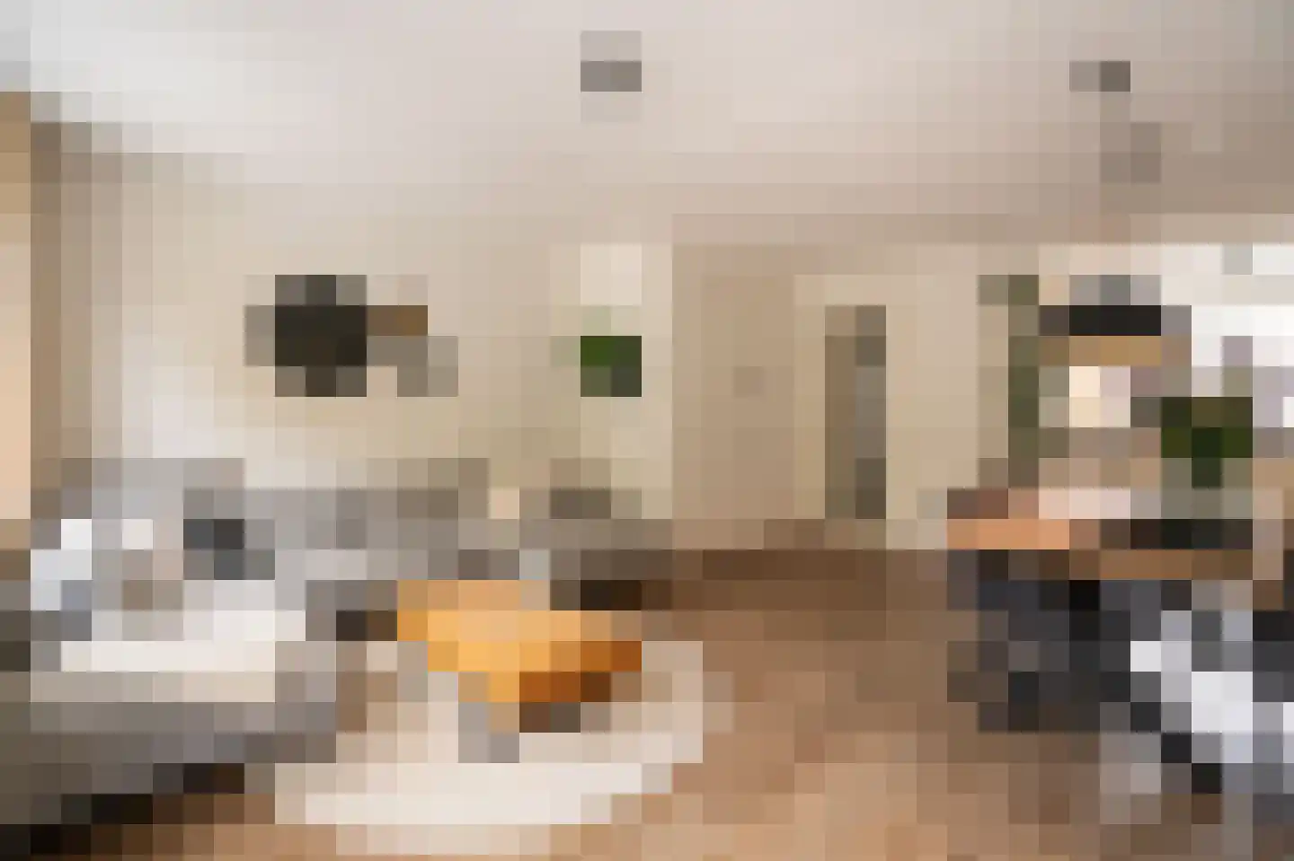 Buitenhof 2 Leerdam thumbnail 13