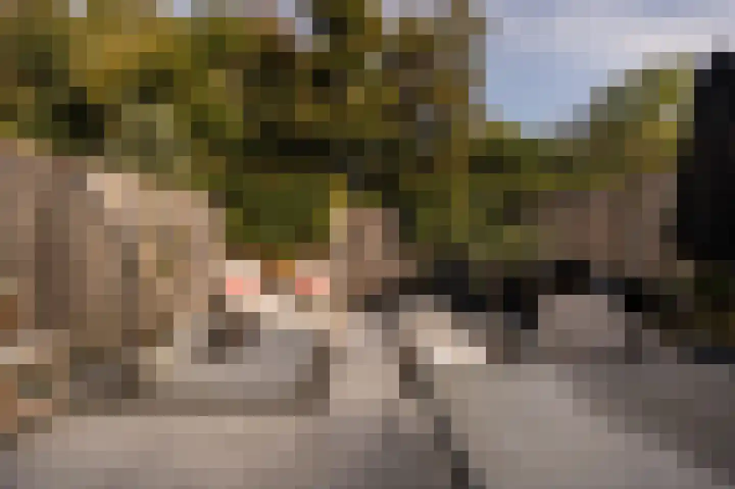 Buitenhof 2 Leerdam thumbnail 37