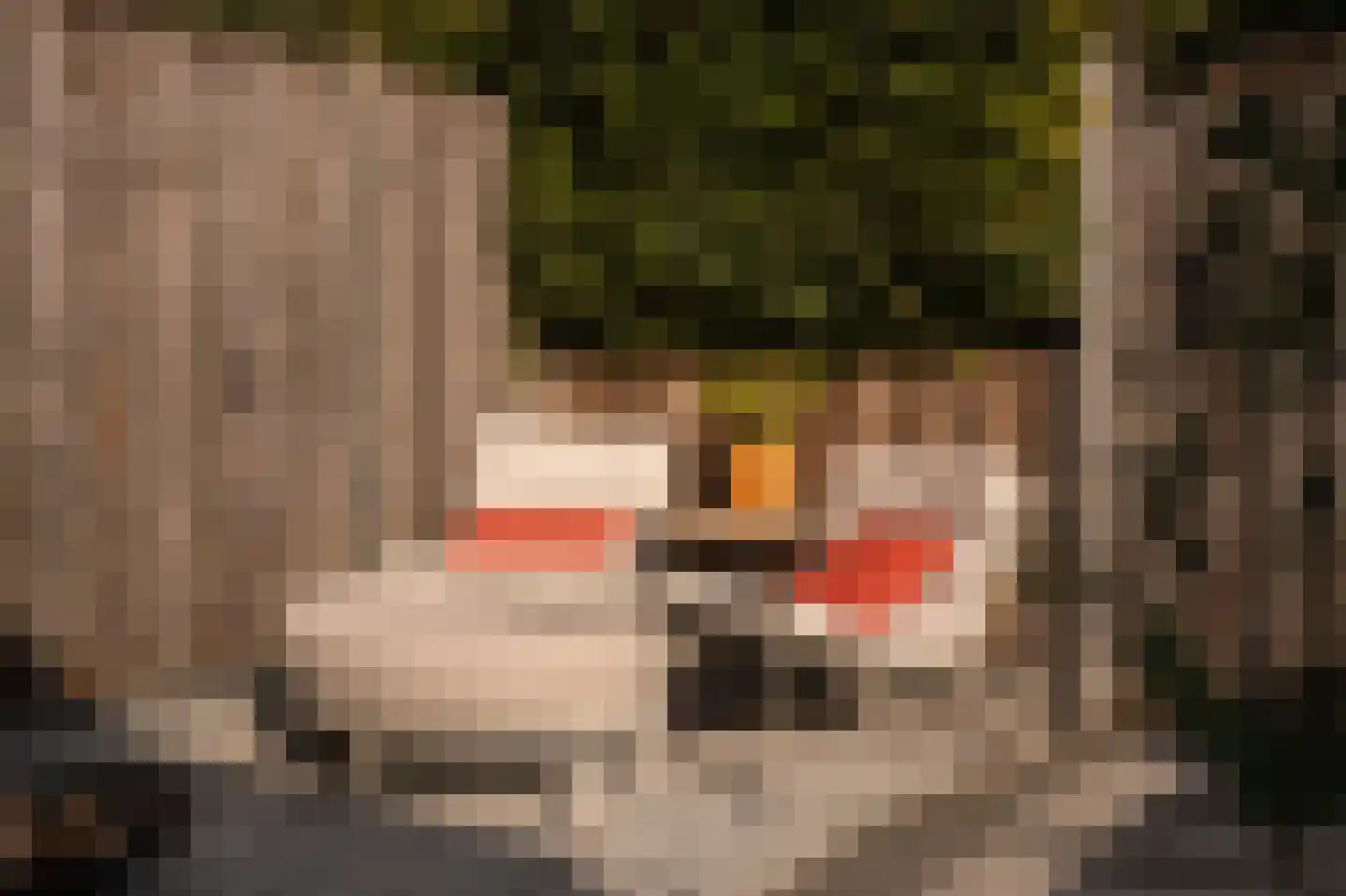 Buitenhof 2 Leerdam thumbnail 39