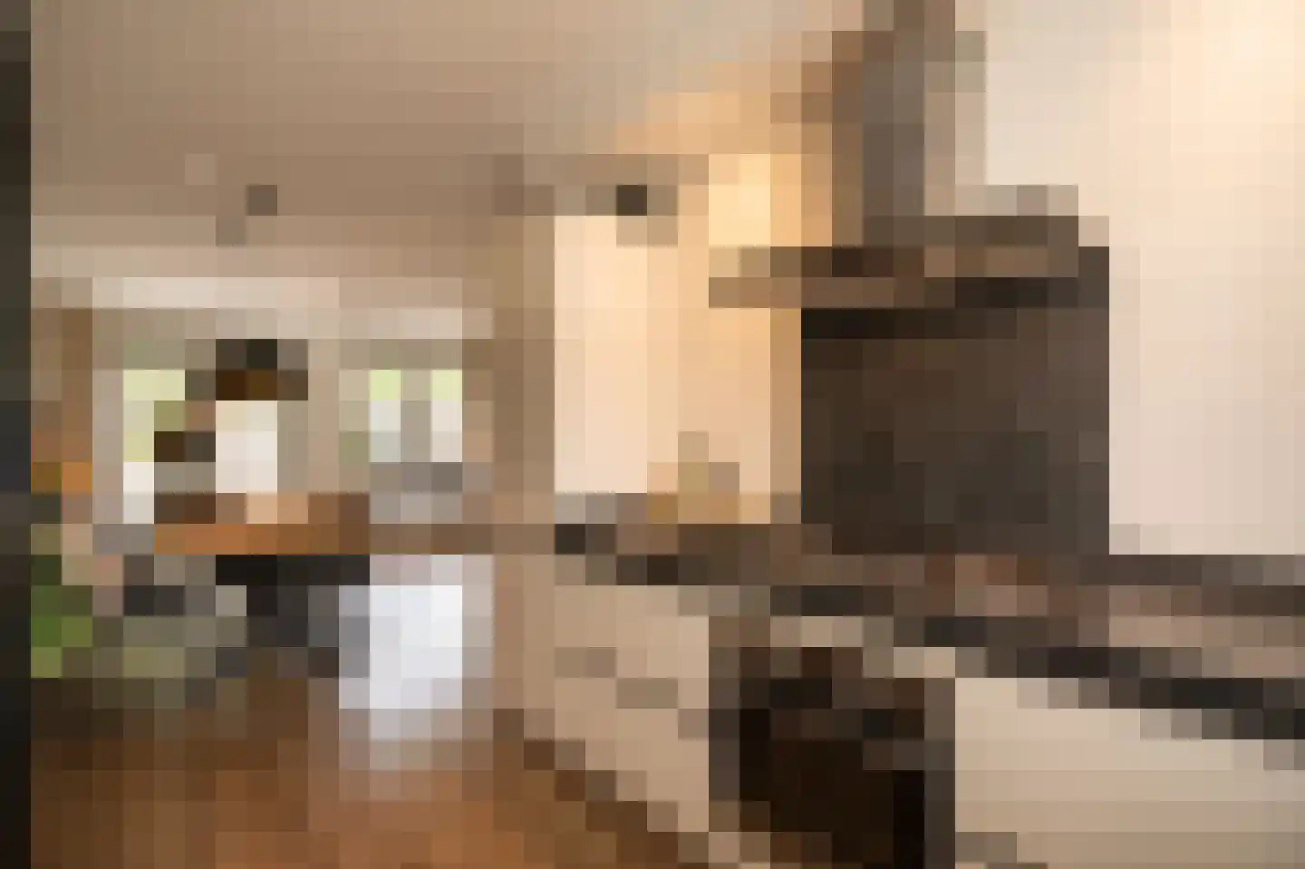 Buitenhof 2 Leerdam thumbnail 4