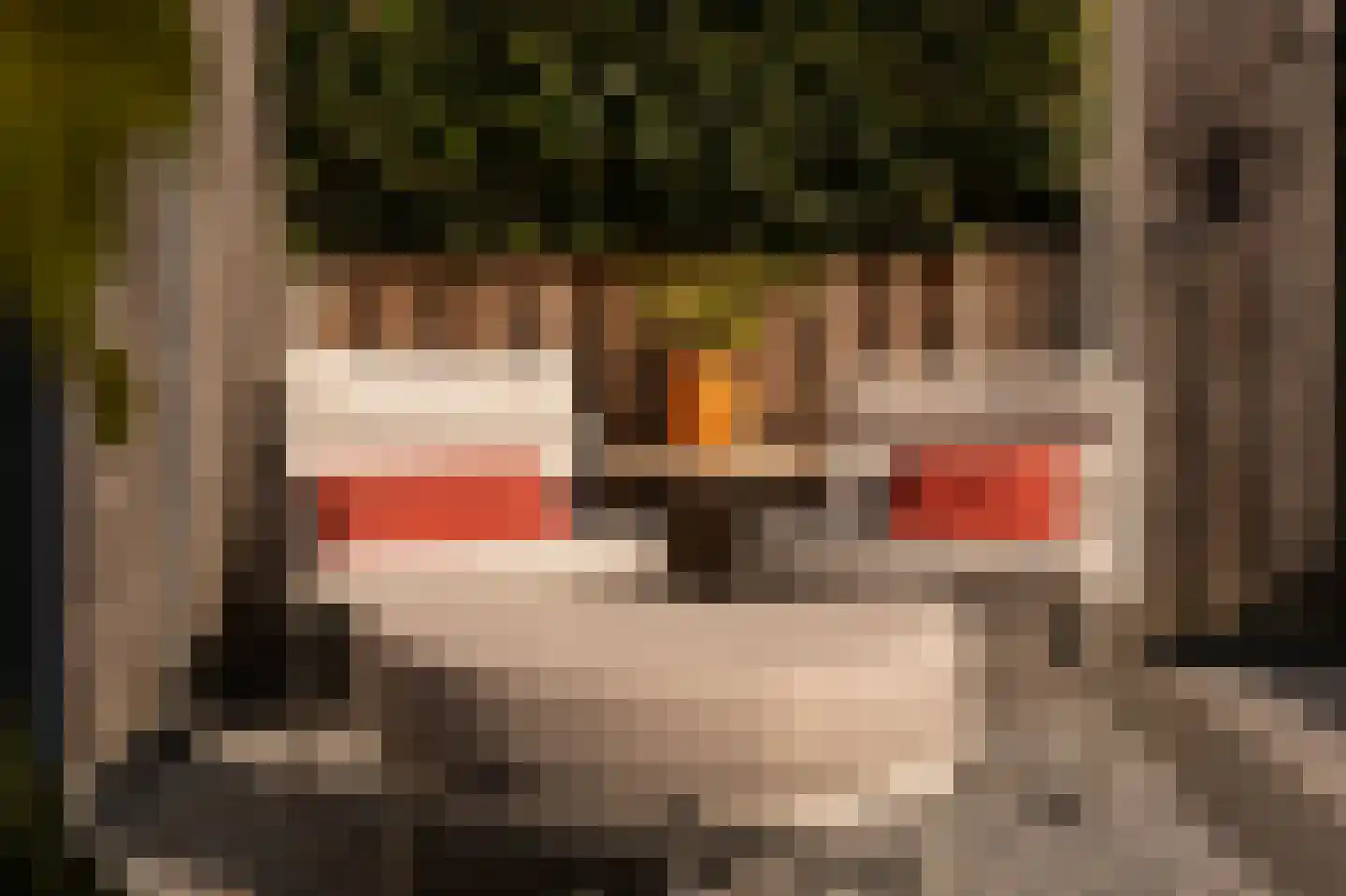 Buitenhof 2 Leerdam thumbnail 40
