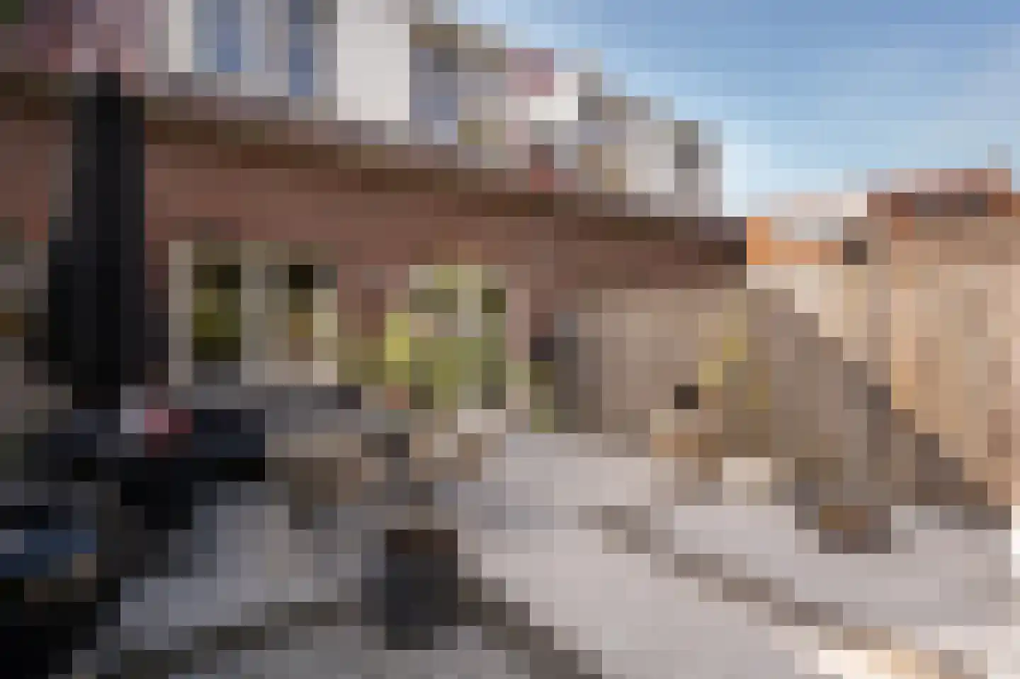 Buitenhof 2 Leerdam thumbnail 42