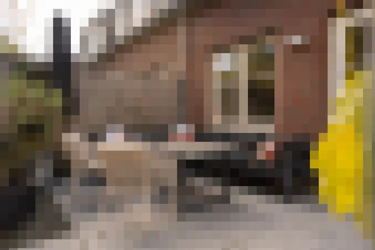 Buitenhof 2 Leerdam thumbnail 44