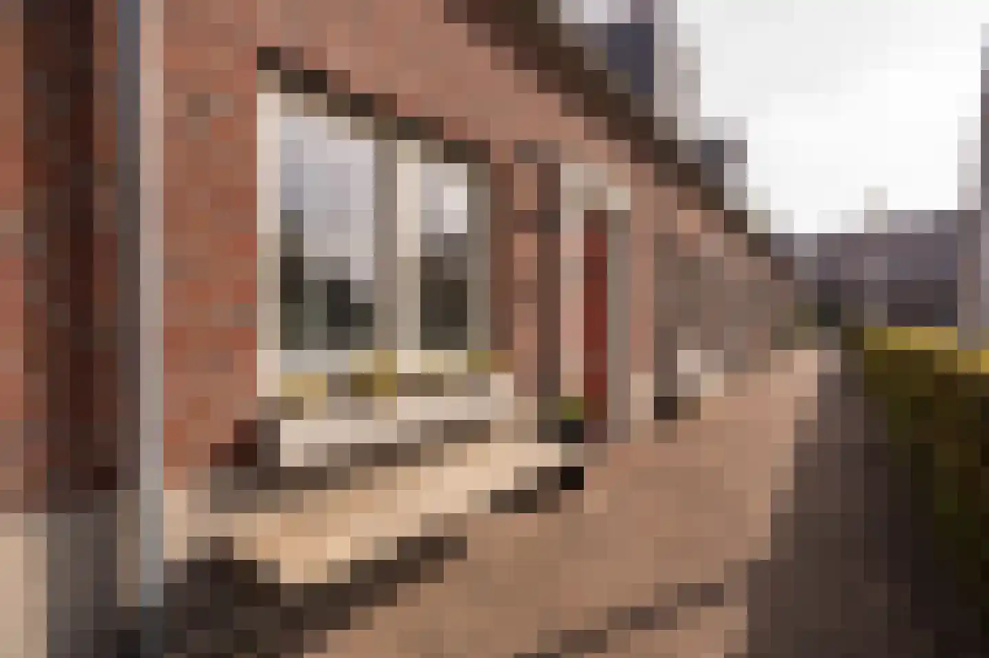 Buitenhof 2 Leerdam thumbnail 46