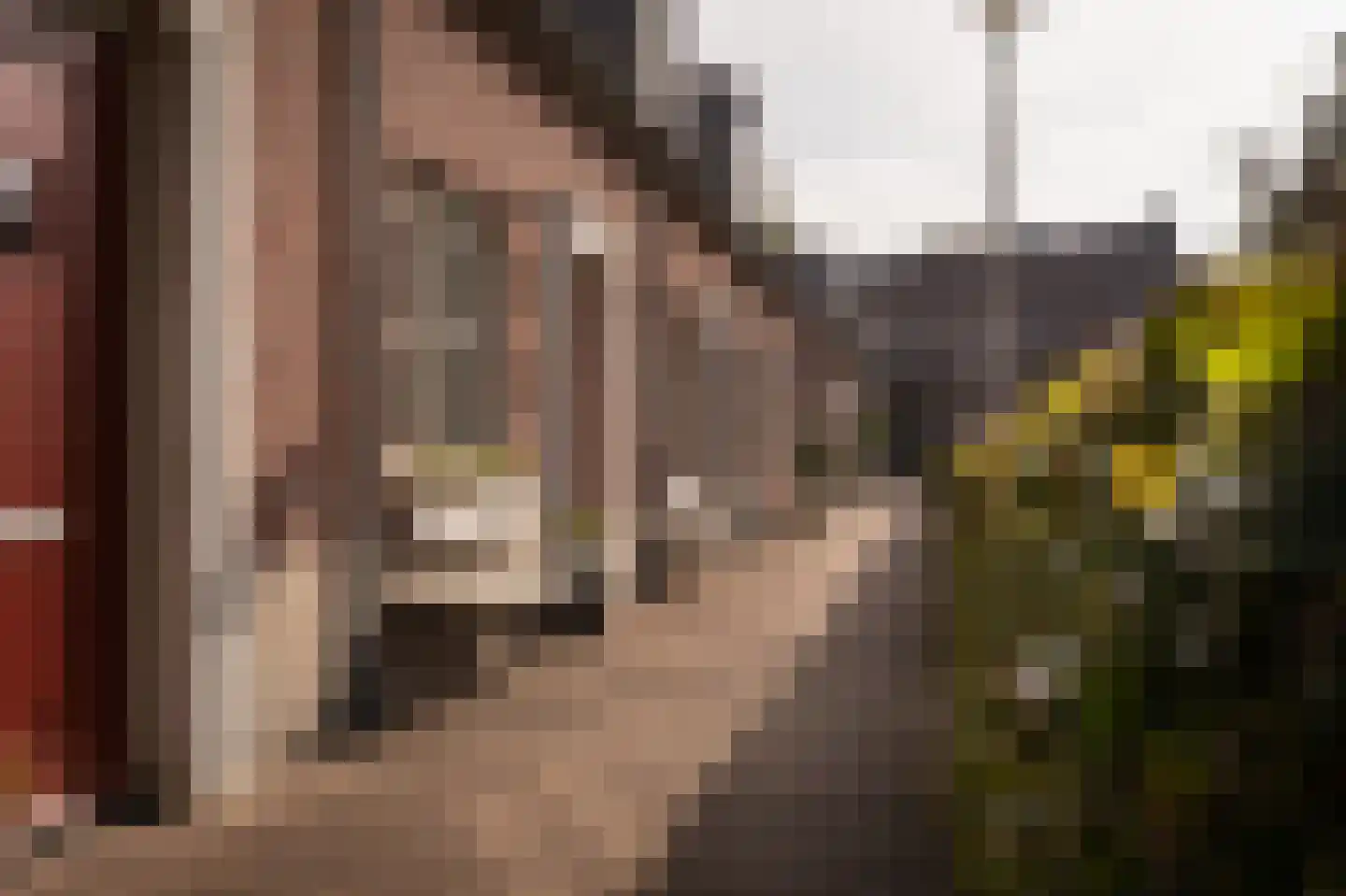 Buitenhof 2 Leerdam thumbnail 47