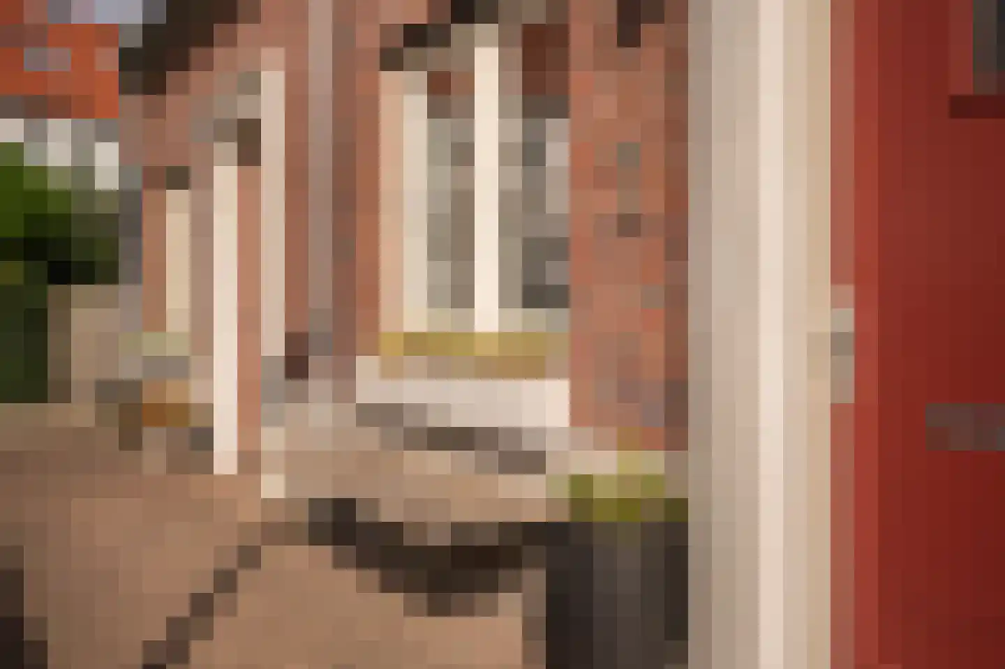 Buitenhof 2 Leerdam thumbnail 48
