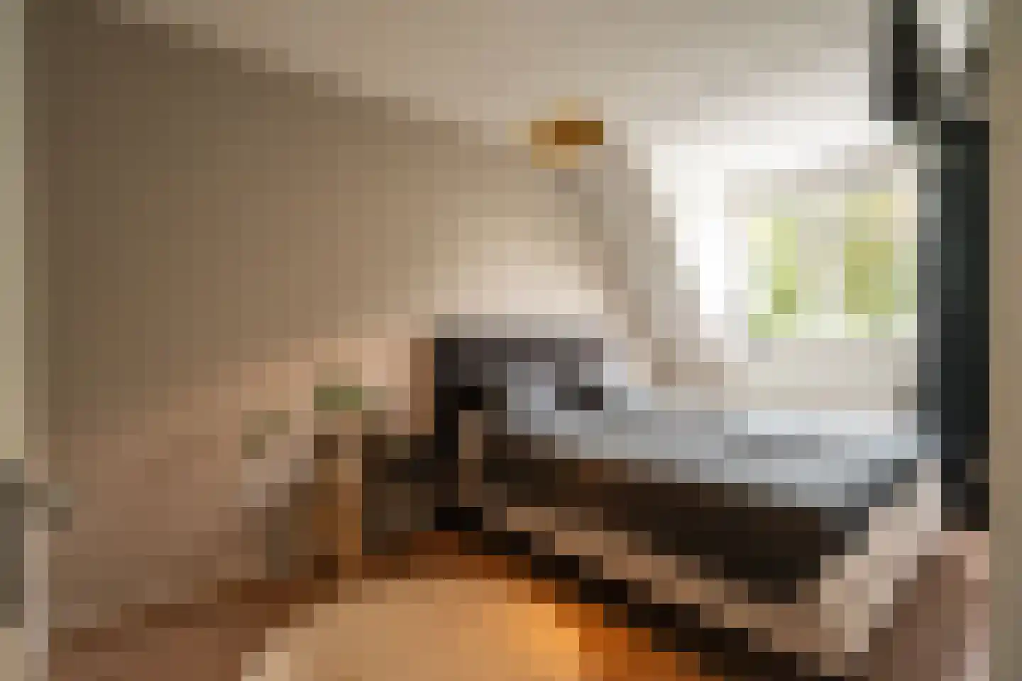 Buitenhof 2 Leerdam thumbnail 5