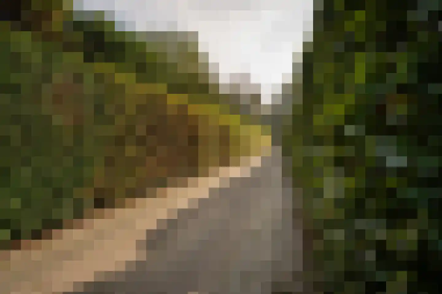 Buitenhof 2 Leerdam thumbnail 53