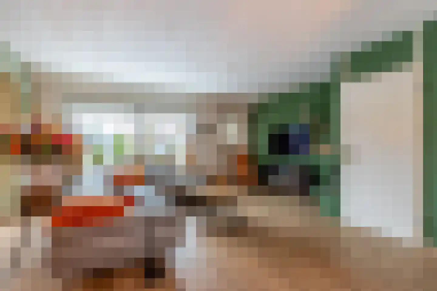 Buitenhof 20 Oostvoorne thumbnail 11