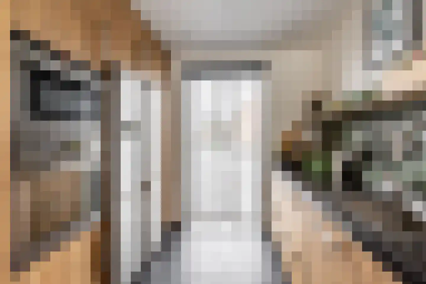 Buitenhof 20 Oostvoorne thumbnail 18