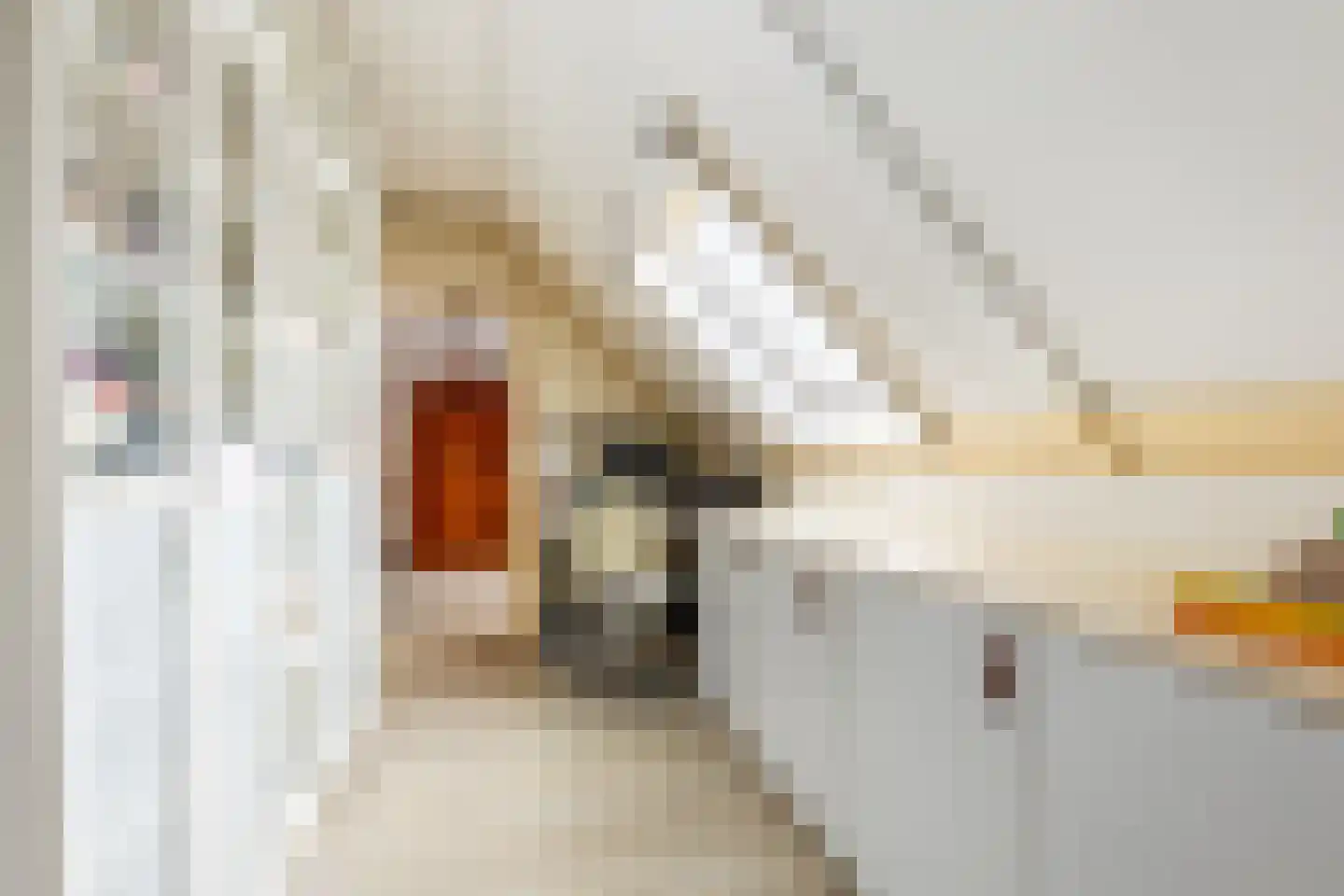 Buitenhof 20 Oostvoorne thumbnail 26