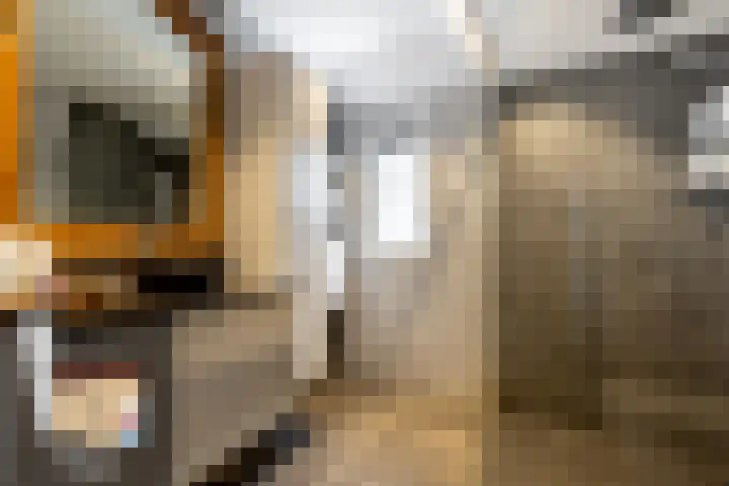 Buitenhof 20 Oostvoorne thumbnail 29