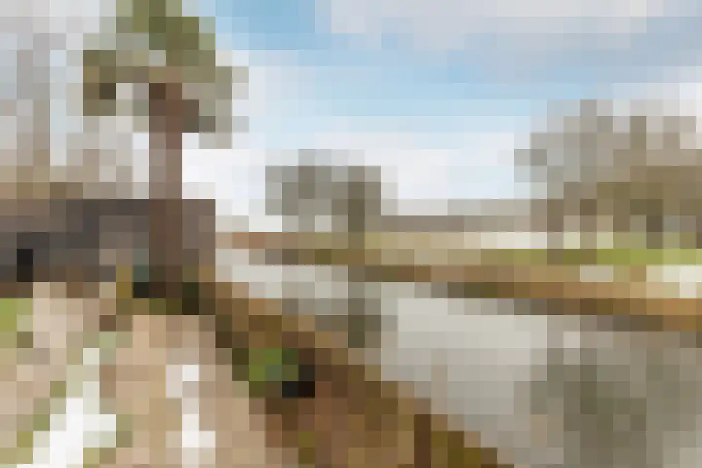 Buitenhof 20 Oostvoorne thumbnail 33