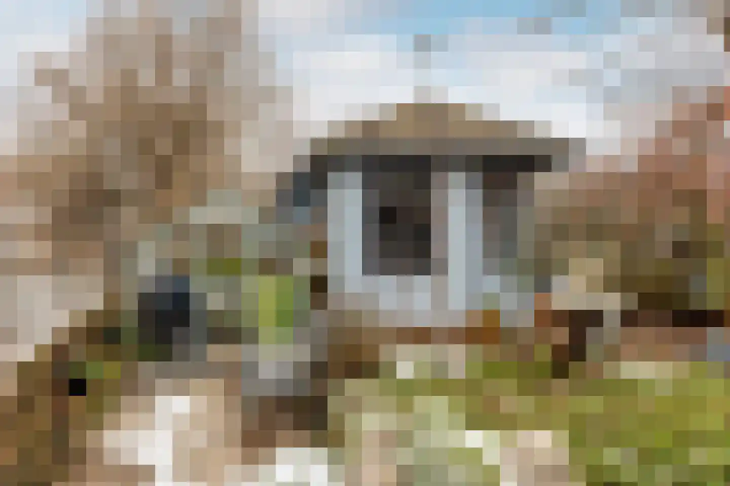 Buitenhof 20 Oostvoorne thumbnail 34