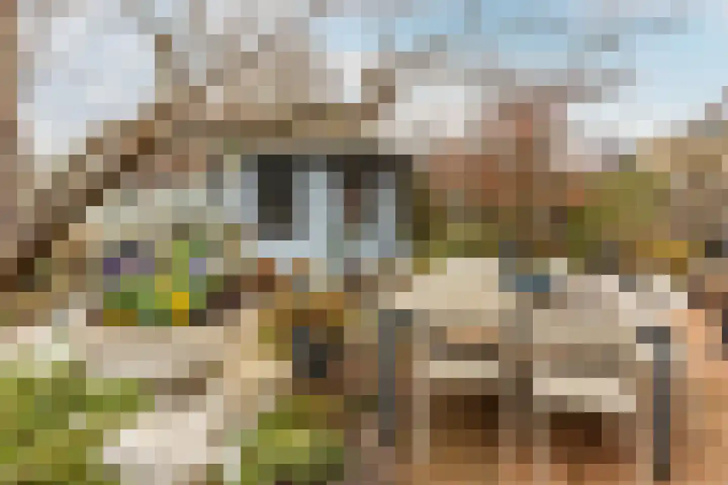 Buitenhof 20 Oostvoorne thumbnail 36