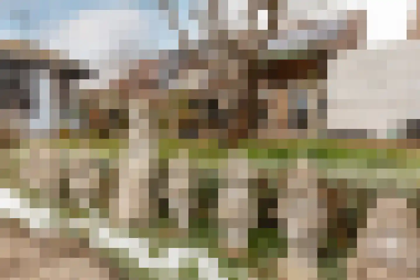 Buitenhof 20 Oostvoorne thumbnail 38
