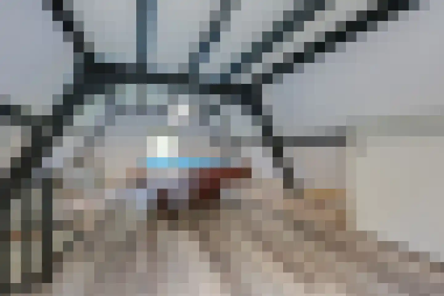 Buitenhof 22 Almere thumbnail 29
