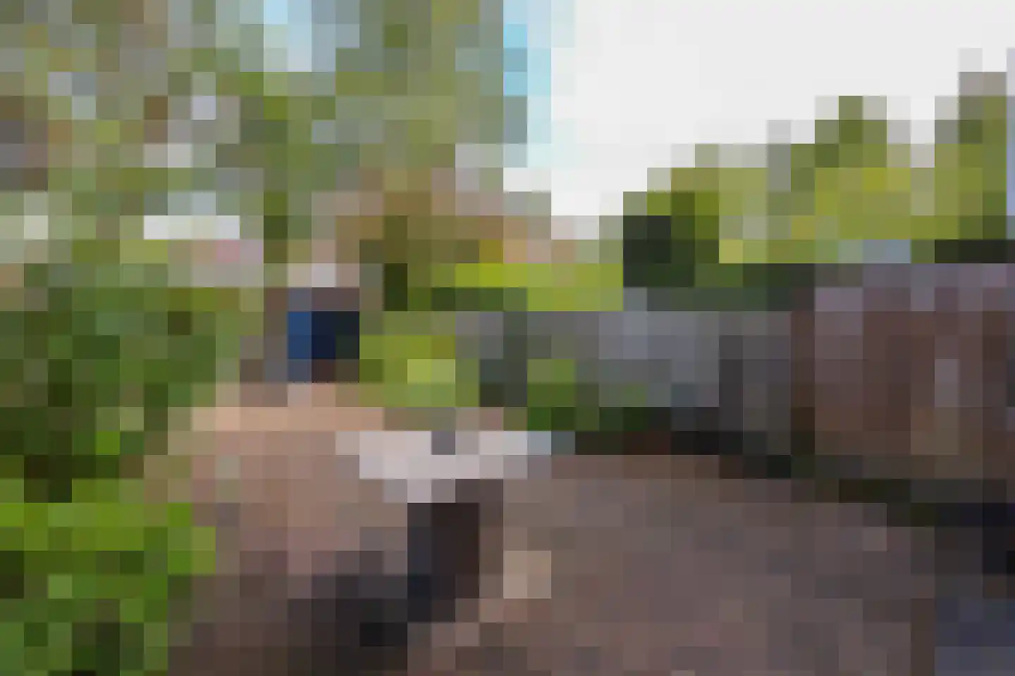 Buitenhof 22 Almere thumbnail 32
