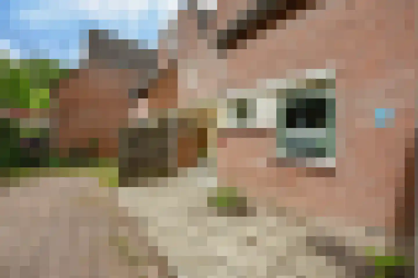 Buitenhof 22 Almere thumbnail 38