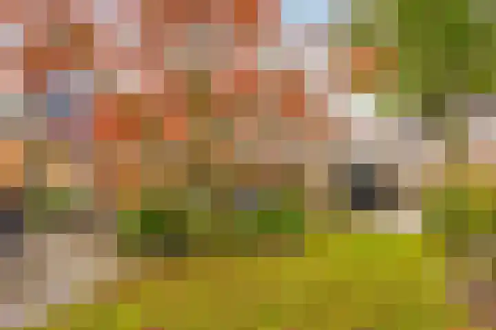 Buitenhof 23 Capelle aan den IJssel thumbnail 10