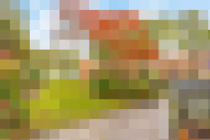 Buitenhof 23 Capelle aan den IJssel thumbnail 11