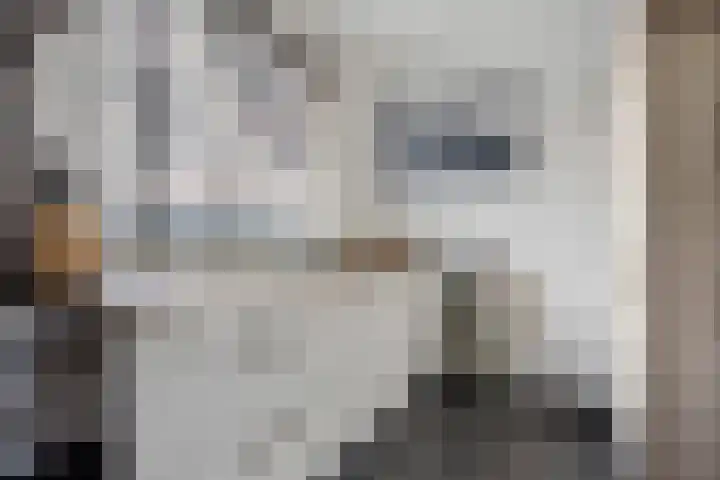 Buitenhof 23 Capelle aan den IJssel thumbnail 14
