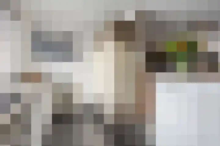 Buitenhof 23 Capelle aan den IJssel thumbnail 15