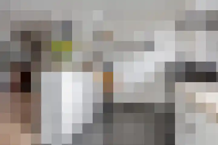 Buitenhof 23 Capelle aan den IJssel thumbnail 16