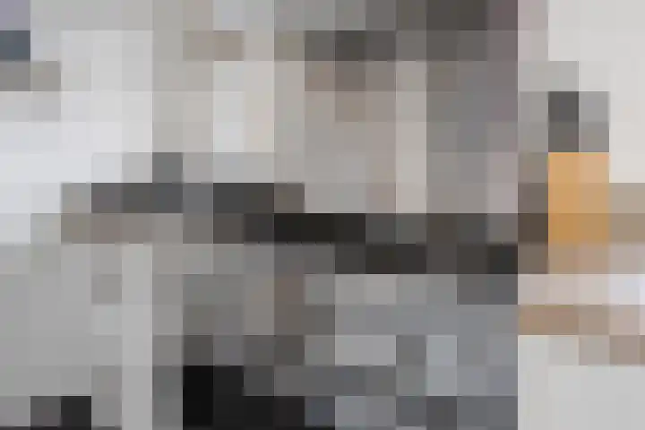Buitenhof 23 Capelle aan den IJssel thumbnail 17