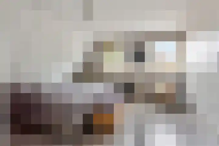 Buitenhof 23 Capelle aan den IJssel thumbnail 21