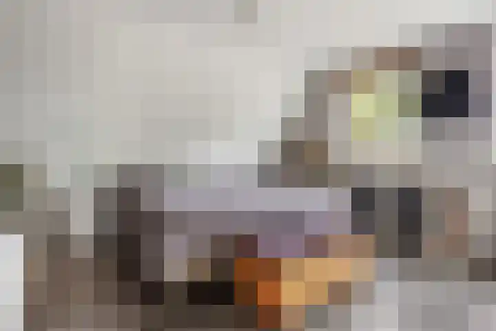 Buitenhof 23 Capelle aan den IJssel thumbnail 22