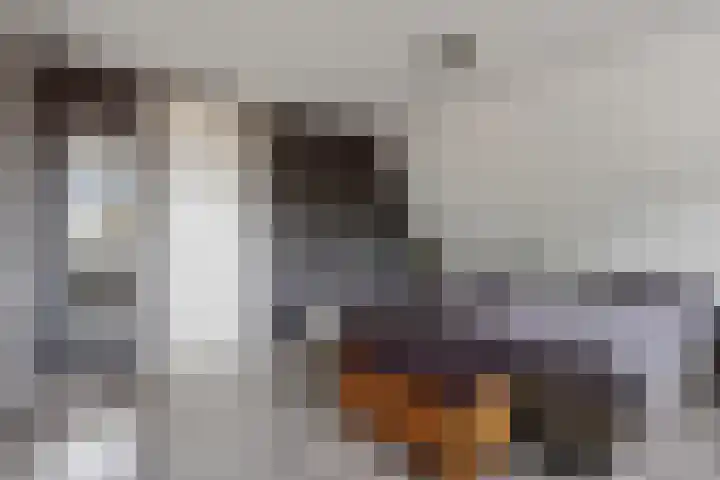 Buitenhof 23 Capelle aan den IJssel thumbnail 24