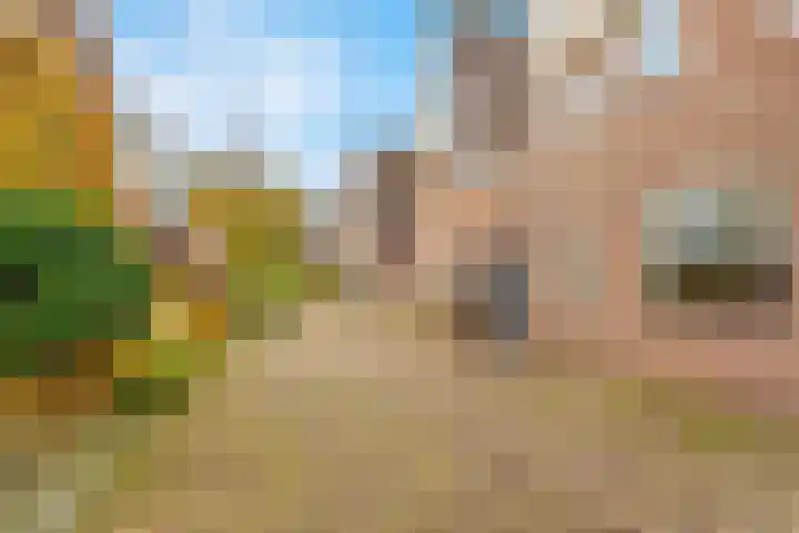 Buitenhof 23 Capelle aan den IJssel thumbnail 35