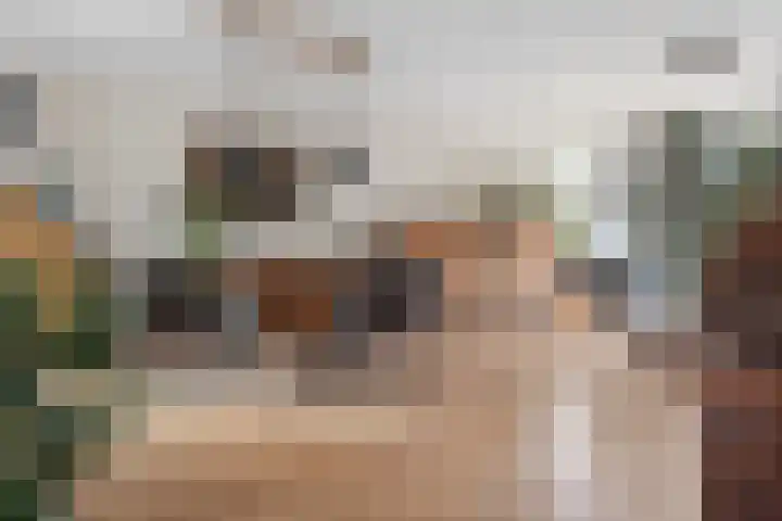 Buitenhof 23 Capelle aan den IJssel thumbnail 4