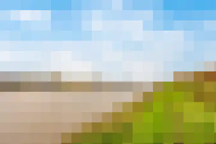Buitenhof 23 Capelle aan den IJssel thumbnail 41