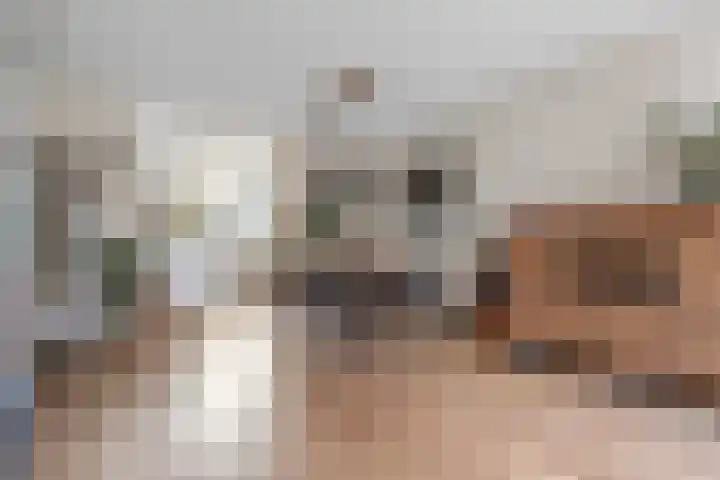 Buitenhof 23 Capelle aan den IJssel thumbnail 5