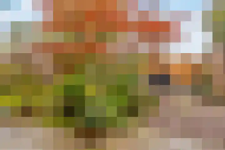 Buitenhof 23 Capelle aan den IJssel thumbnail 7