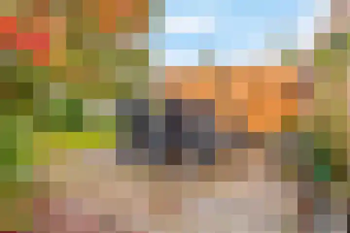 Buitenhof 23 Capelle aan den IJssel thumbnail 8