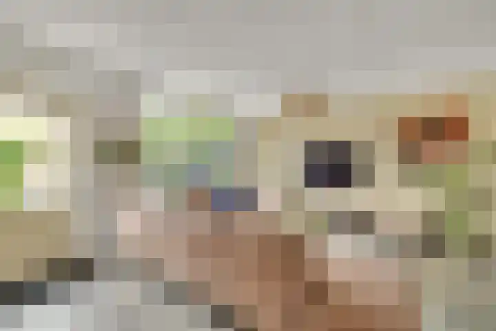 Buitenhof 23 Oostvoorne thumbnail 11