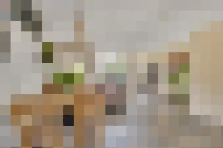 Buitenhof 23 Oostvoorne thumbnail 15