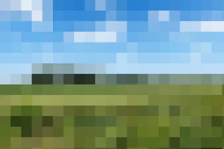 Buitenhof 23 Oostvoorne thumbnail 29